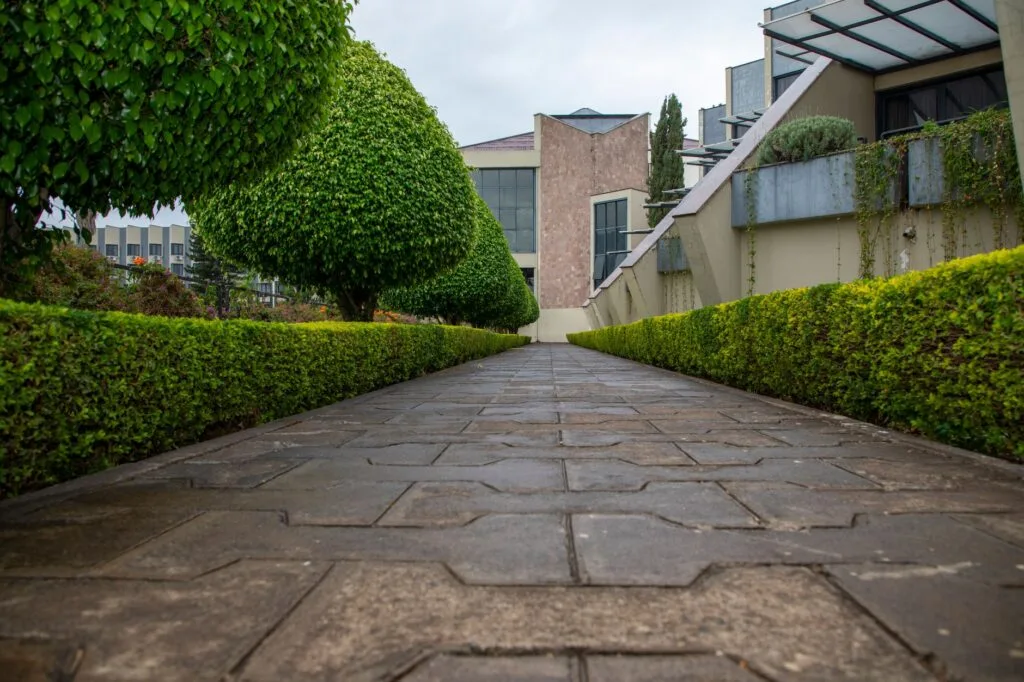 Poured concrete walkway between trimmed hedges, walkway installation like Sedona Concrete pours in Columbus, OH
