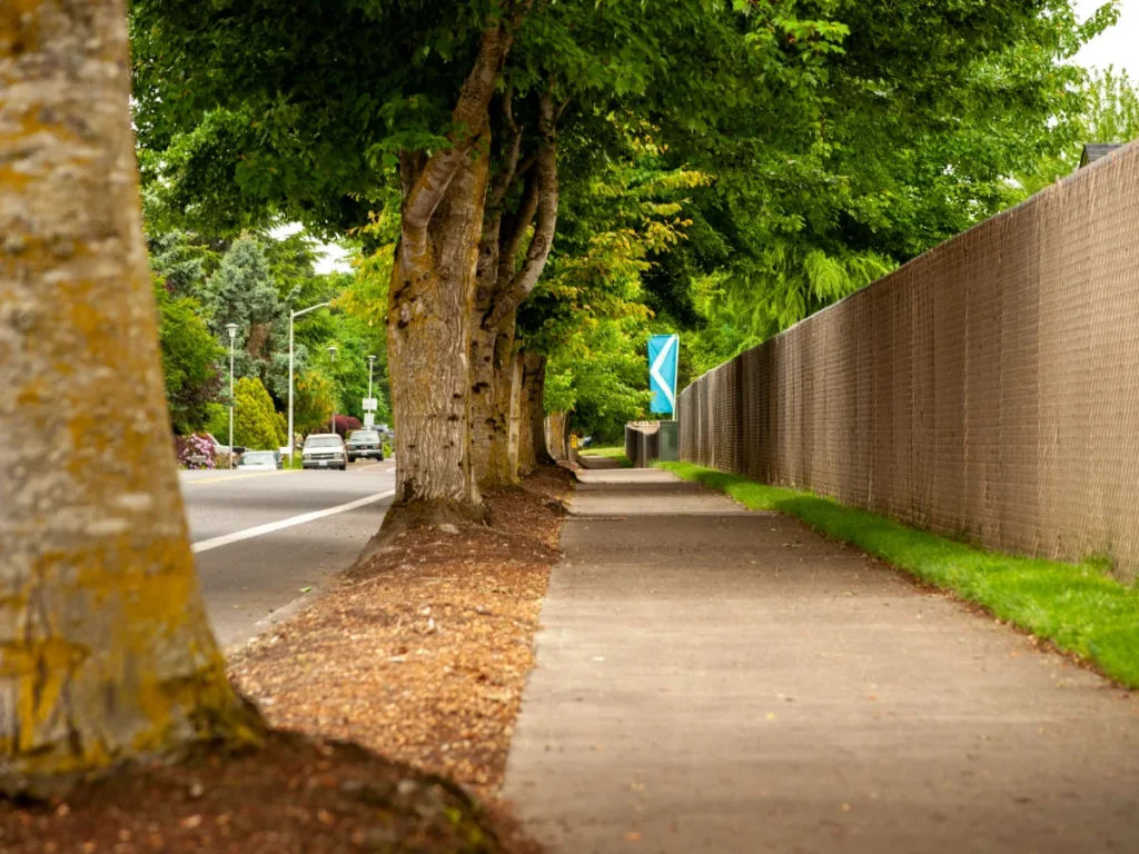 Concrete sidewalk running beside a tree-lined residential street